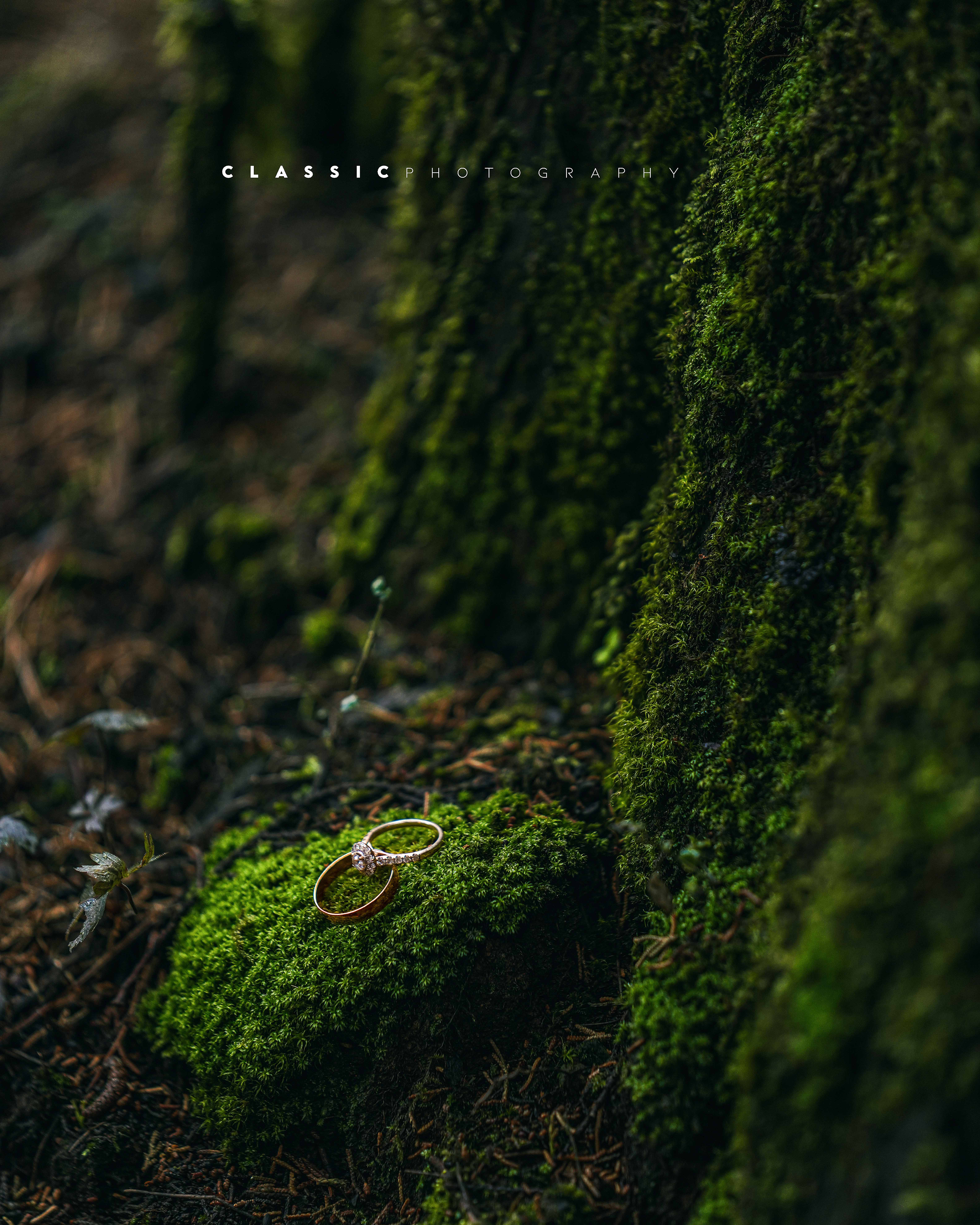 WEDDING CEREMONY Premium